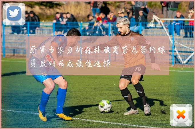 薪资专家分析森林狼需紧急签约球员康利或成最佳选择