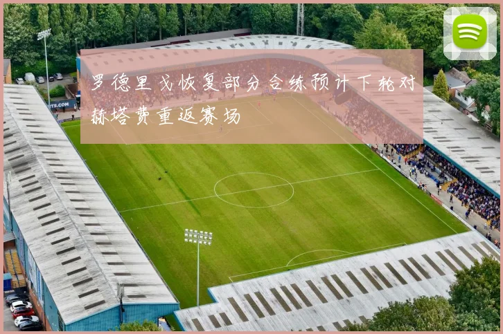 罗德里戈恢复部分合练预计下轮对赫塔费重返赛场