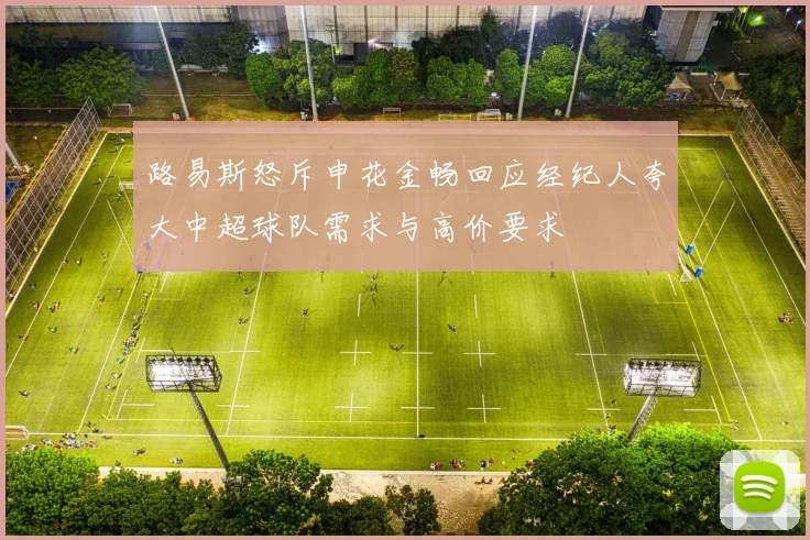 路易斯怒斥申花金畅回应经纪人夸大中超球队需求与高价要求