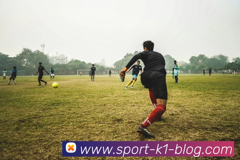 k1体育平台生态图