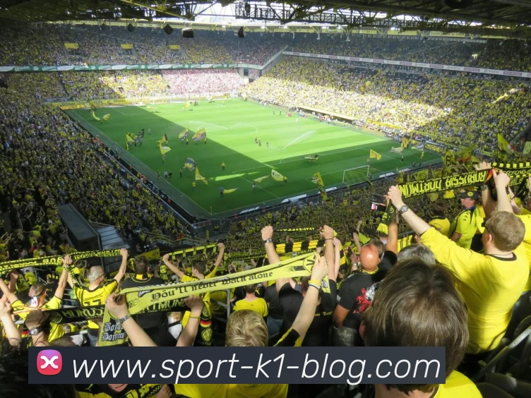 k1体育APP 封面图